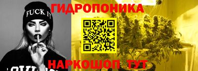 каннабис Кингисепп