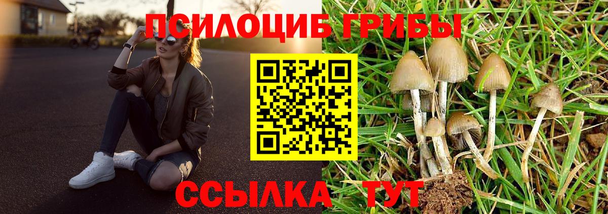 Галлюциногенные грибы Magic Shrooms Куйбышев